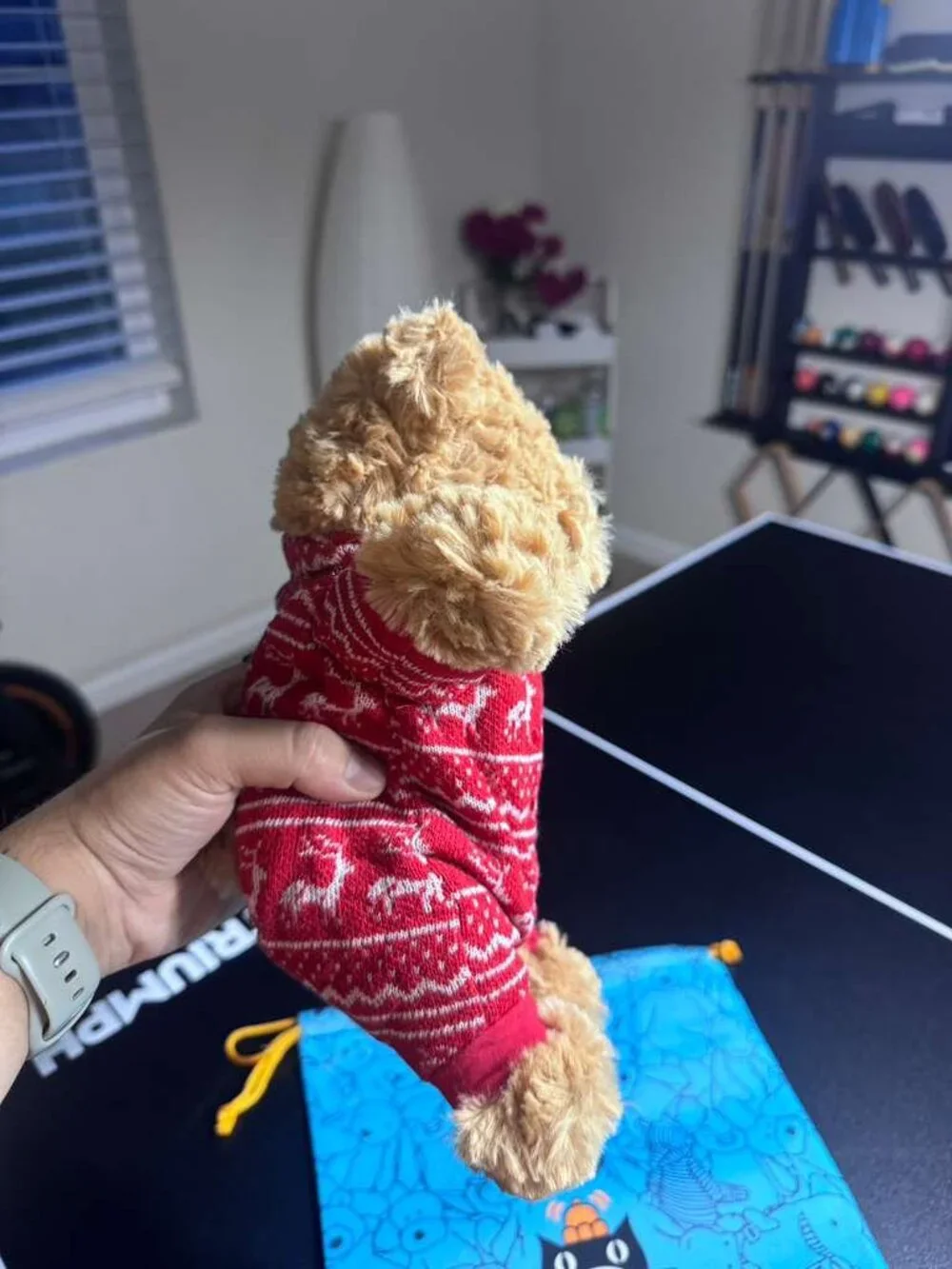 Jellycat Bartholomew Bear in Winter Pyjamas - NWT